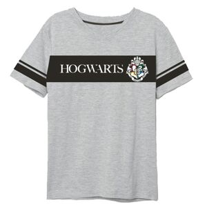 EPlus Pánské tričko Harry Potter - Bradavice šedé Velikost - dospělý: M