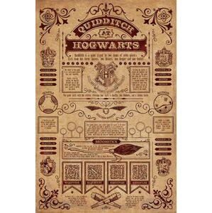 Pyramid Plakát Harry Potter - Quidditch in Hogwarts
