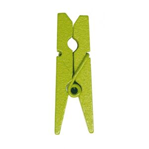 Santex Dřevěné kolíčky - jednobarevné 24 ks Barva: Zelená