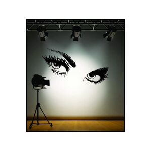 DR Dekorativní nálepky na stěnu - oči Audrey Hepburn, 60x50cm